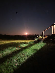 Meet your Posher, Adelynn